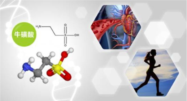 世界肝炎日科普：牛磺酸为何能守护肝脏健康？