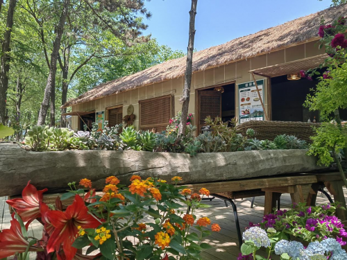 云海日出，戏水溯溪  沂蒙山云蒙景区，暑期不可错过的夏日乐园