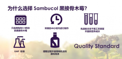 中秋小长假带上Sambucol接骨木，出游不中招