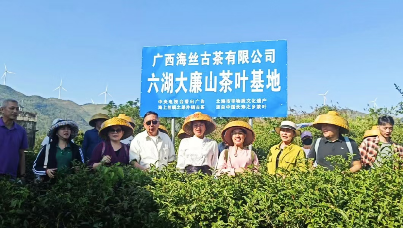 北海大廉山旅游及海丝古茶非遗产业发展研讨会在北海大廉山召开