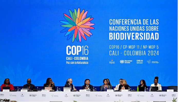 蒙牛在 COP16 大会发布“绿洲计划”，以积极姿态践行生物多样性保护