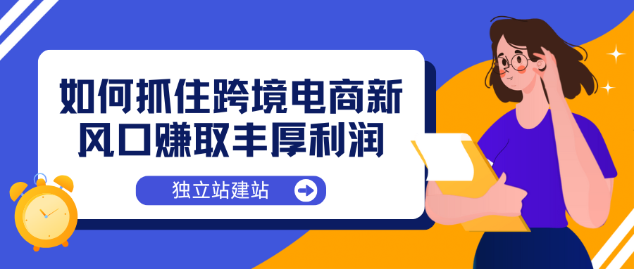 FP独立站：如何抓住跨境电商新风口赚取丰厚利润