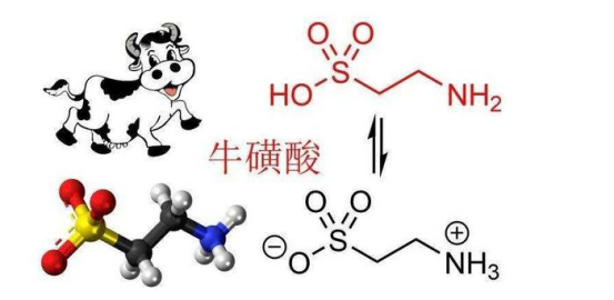 抗衰新突破：红牛饮料中的牛磺酸成分或具有抗衰效果