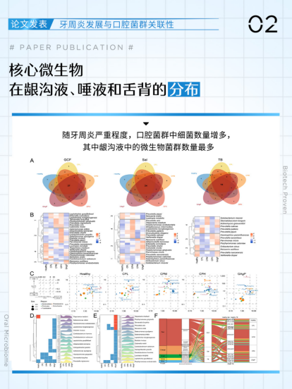 bop牙膏