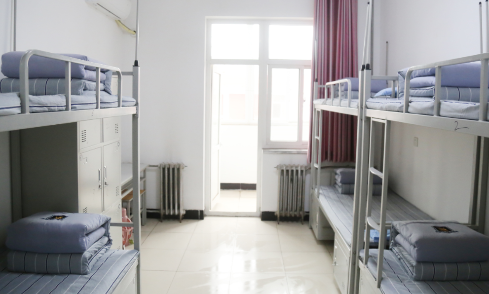 赋能未来，筑梦成长——河北联邦外国语学校开启素养教育新篇章