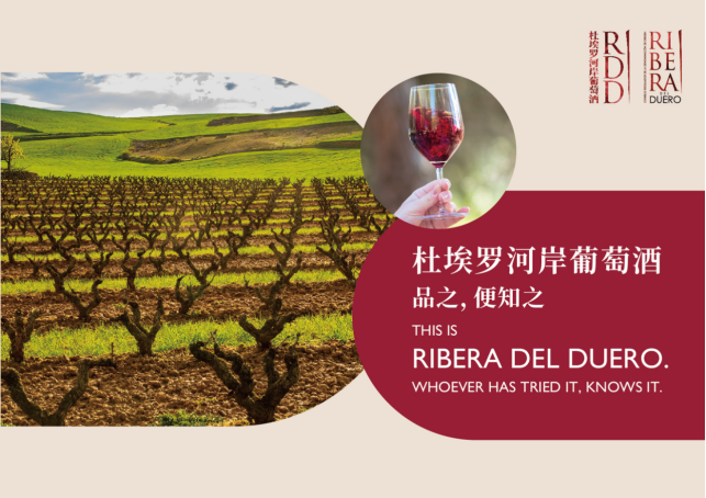 2025杜埃罗河岸RDD葡萄酒大师班及品鉴会巡展，完美收官！