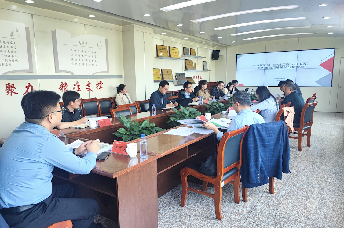 山东省地矿局地质测绘院编制新河河口治理工程节地专章通过评审