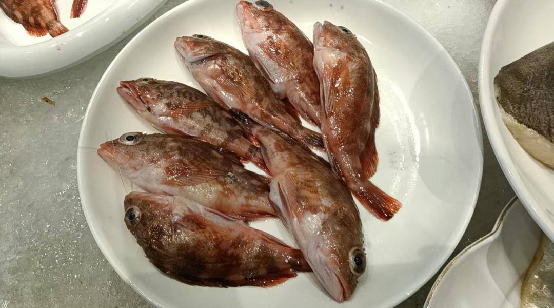 2025年 永清县【舌尖上的美食】人气餐厅推荐：陈记排档