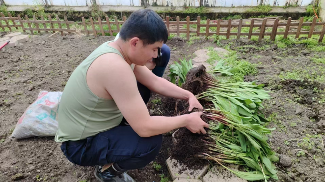 延边边境管理支队双目峰边境检查站开展蔬菜种植工作