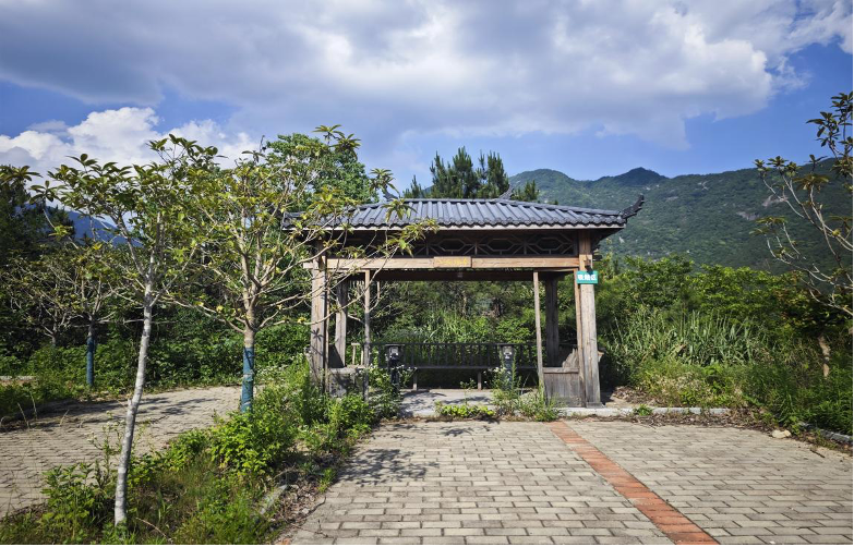 黨旗映紅過路灘  共同締造暖民心
