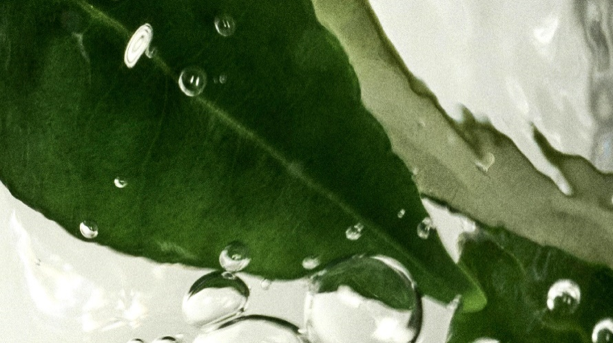 fresh馥蕾诗红茶「普拉提」精华全新上市 超塑·焕嫩·御纹 不止年轻 肌源蜕变新生