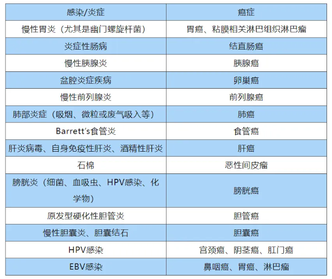 肿瘤或因慢性炎症导致？灵芝孢子油：科学提升免疫，筑牢健康屏障