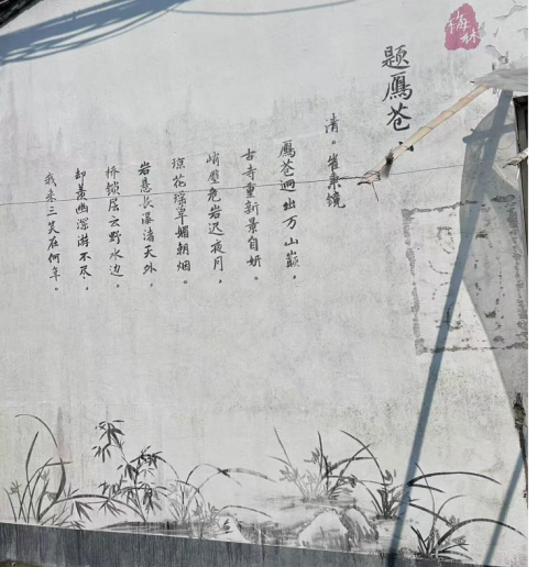 兰香沁乡土 青春绘振兴 —— 浙江万里学院“循兰…