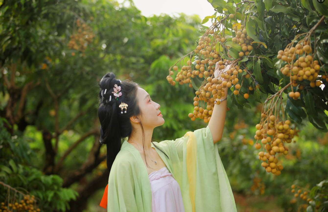 平南龙眼仙子发来甜蜜邀约，邀您共赴古韵仙宴