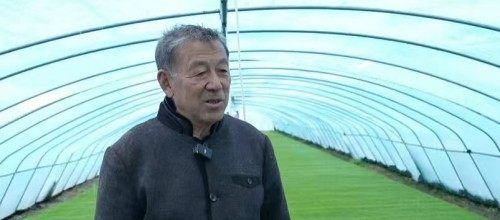 宝清探索农业“高端定制” 激活乡村振兴新引擎