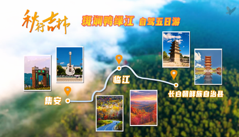 重磅官宣！沈白高铁+G331同步开通，吉林最美秋天秒达！