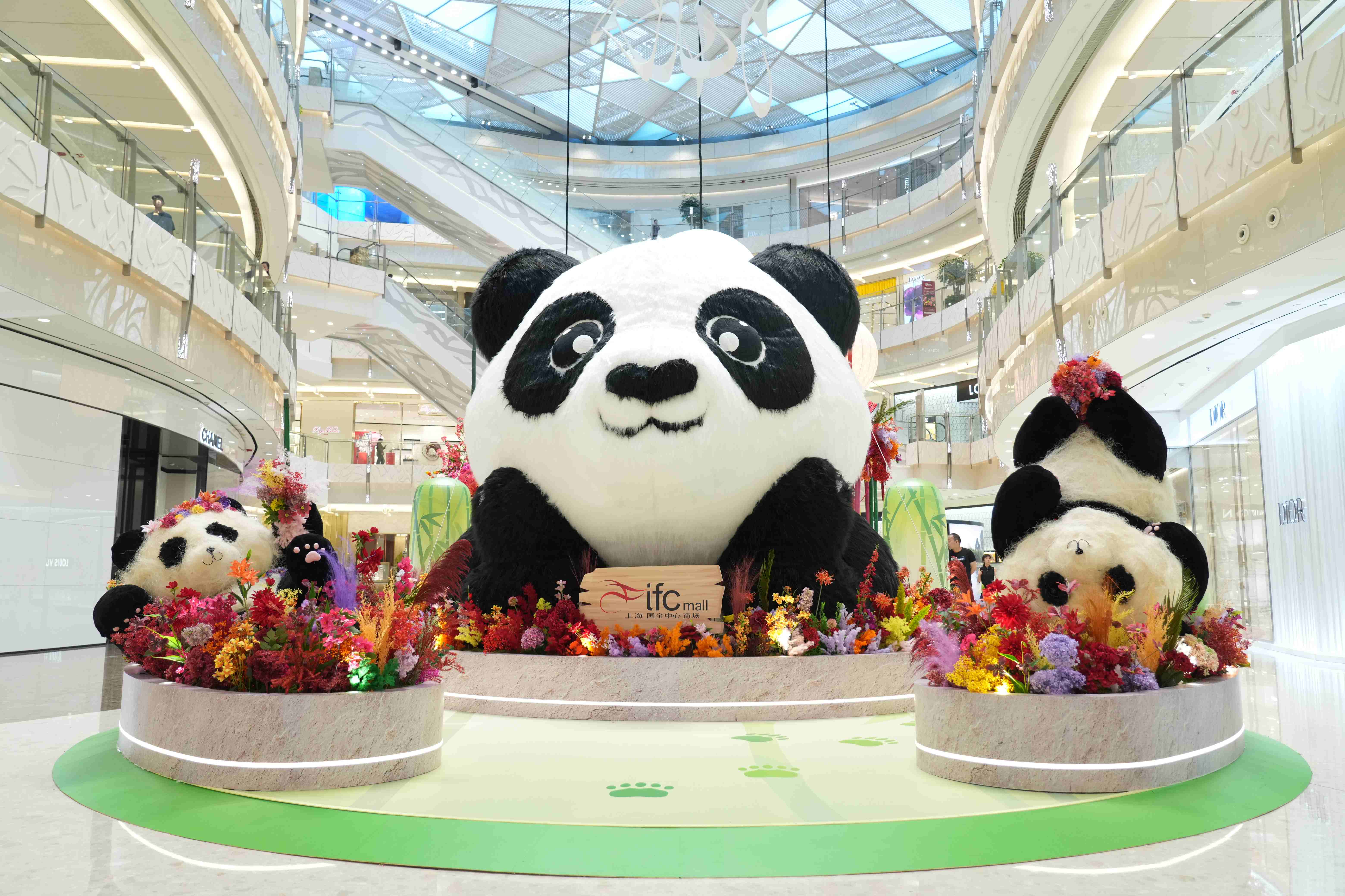 上海ifc商场打造竹趣熊猫乐园