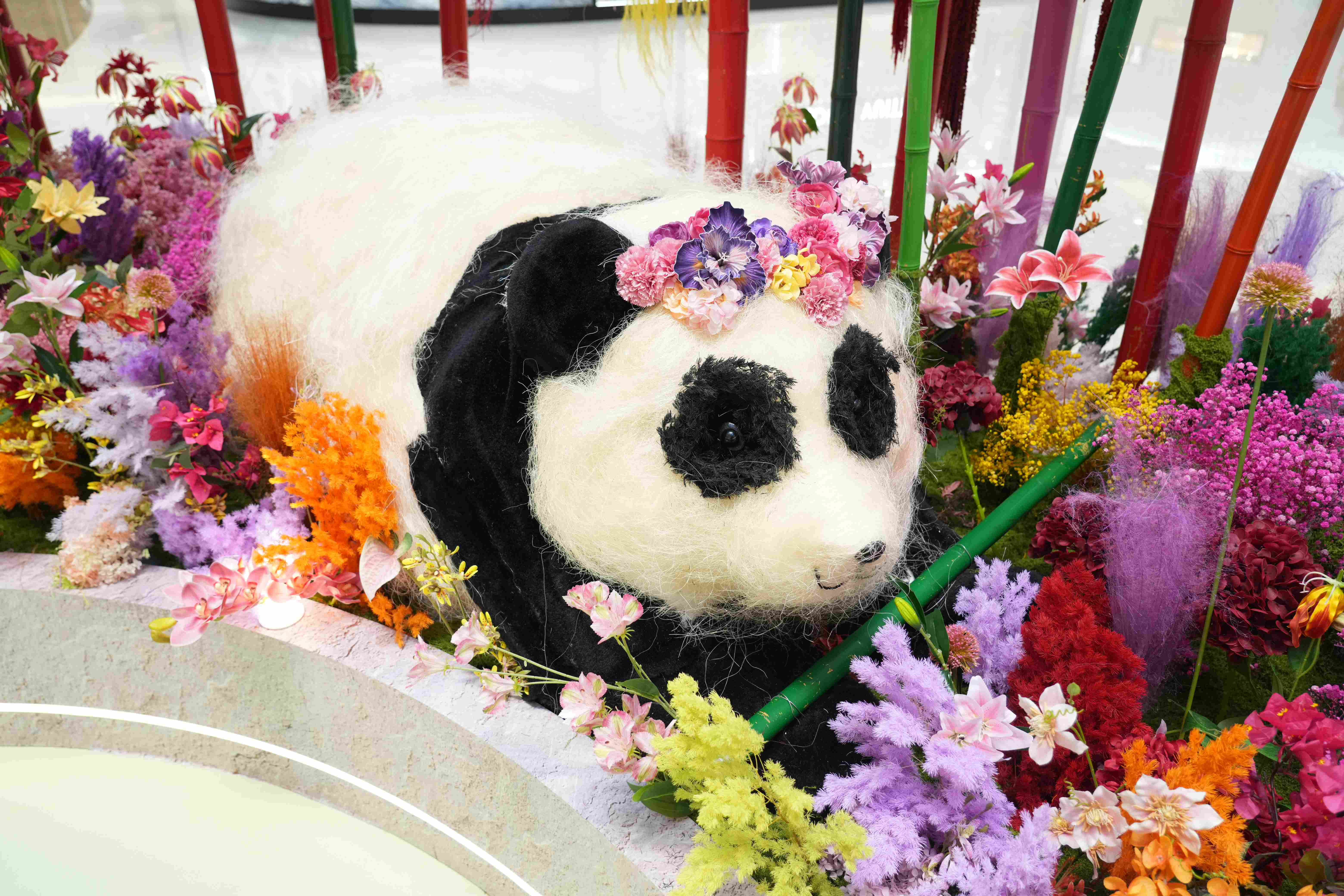 上海ifc商场打造竹趣熊猫乐园