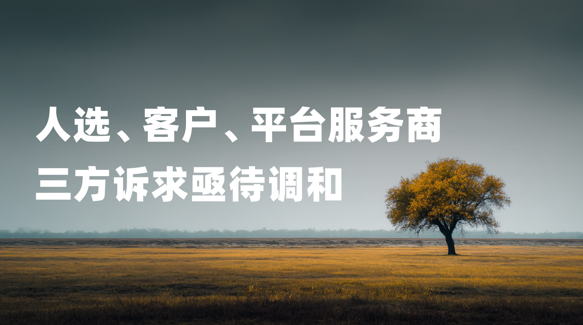 禾蛙生态助力,高门槛低预算机器人项目顺利交付 禾蛙生态助力,高门槛低预算机器人项目顺利交付