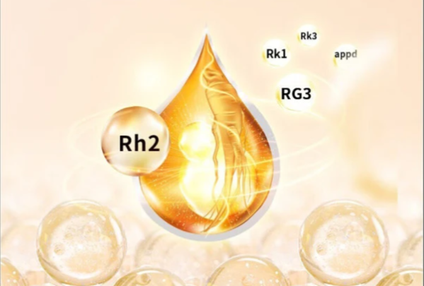 2025人参皂苷品牌权威排行揭晓：今幸人参皂苷Rh2以硬核认证领跑高端养生市场