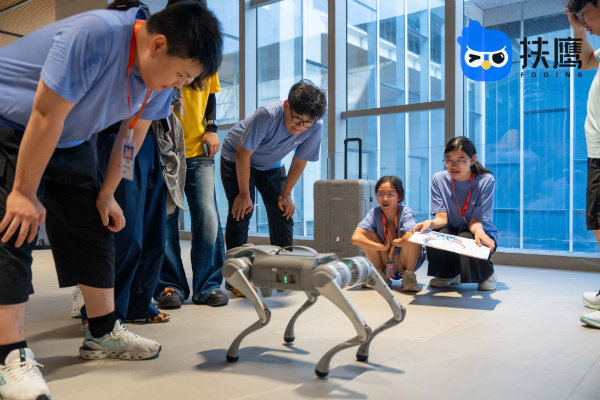 关于家庭教育，扶鹰教育让我看到了另一种可能