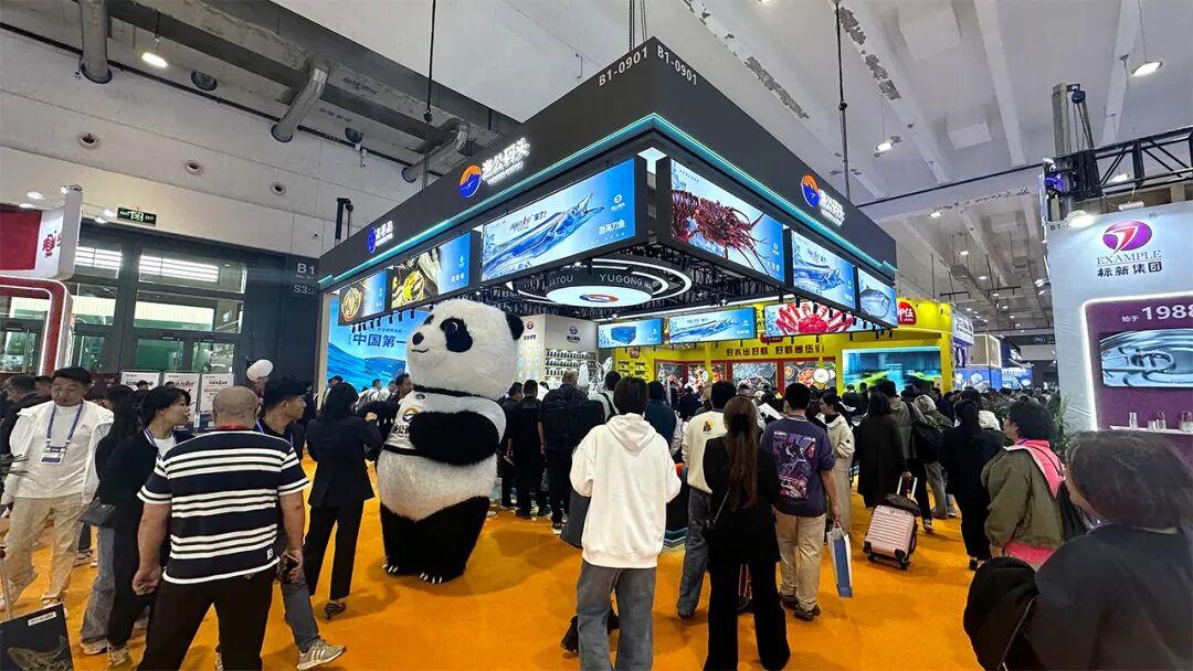 三大第一认证！渔公码头青岛渔博会受热捧，解密头部品牌的破圈密码