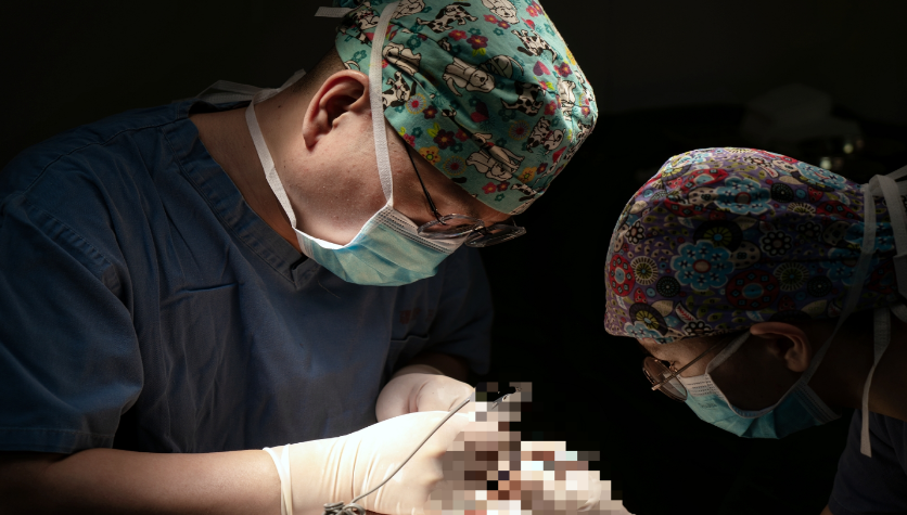 专注病理性瘢痕治疗！新疆威兹曼的 “专而精” 让患者更放心