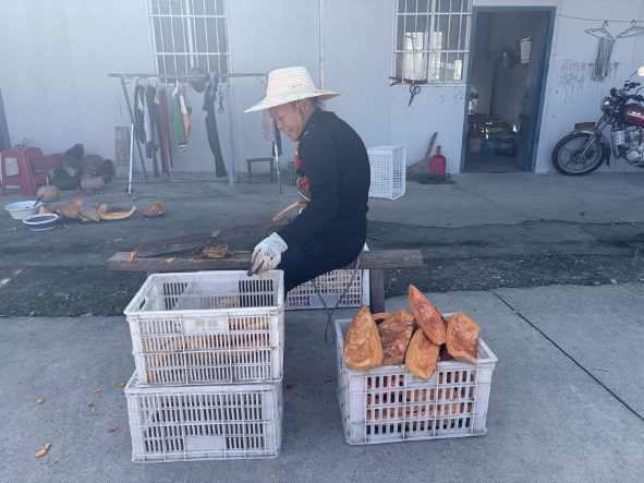 驻村也“助”村，猕香漫野富山村