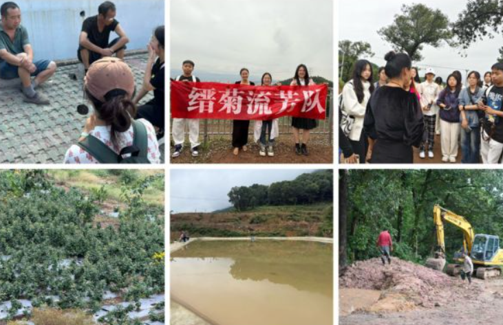 缙菊流芳队深入调研 助力乡村文旅创新发展
