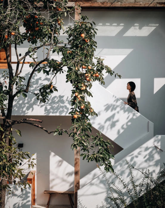 谢柯用「三分留白」,为每个家造一处精神自留地