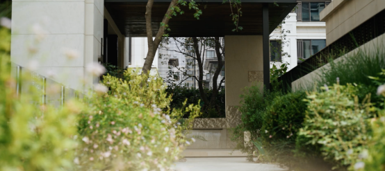 谢柯用「三分留白」,为每个家造一处精神自留地