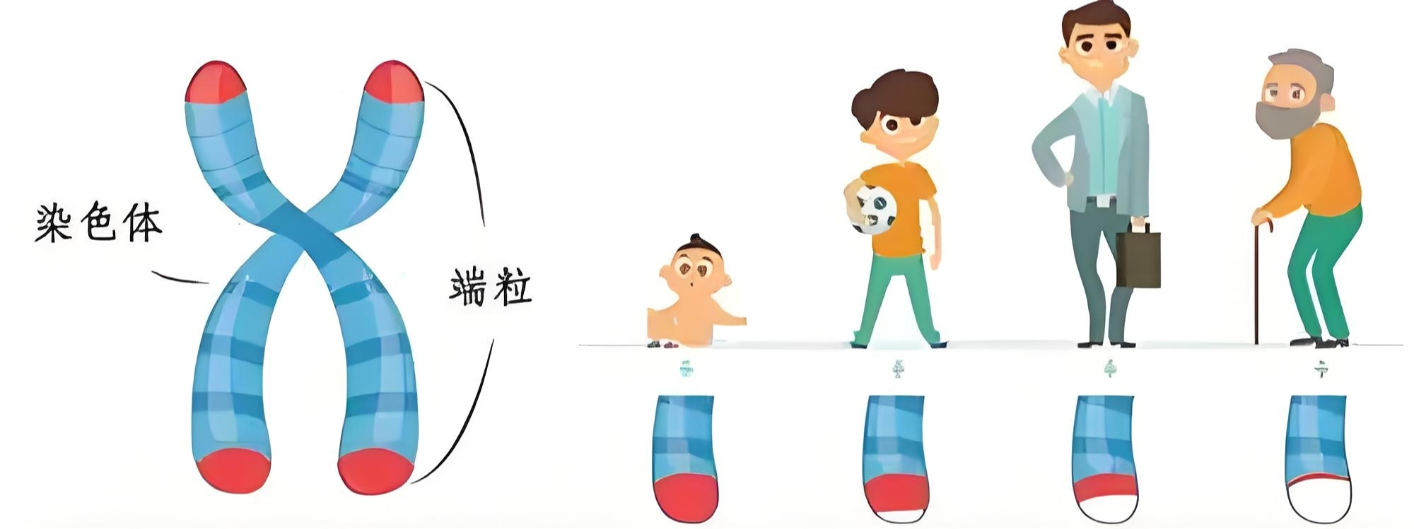 盼生派御龄菁华9号 -开启六代纯天然抗衰的里程碑