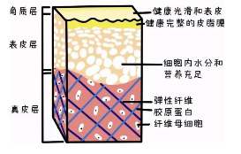 部分都只做了“表面功夫”,那些衰老的慢的人怎么做的,杏林第五代除皱术 部分都只做了“表面功夫”,那些衰老的慢的人怎么做的,杏林第五代除皱术