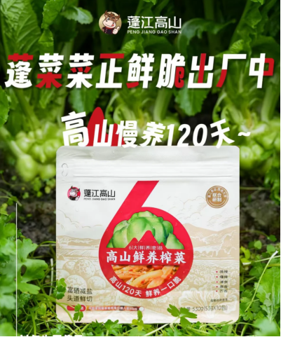 春日餐桌“鲜”锋榜：香椿、马兰头、蓬江高山鲜养榨菜让你的时令菜更出圈