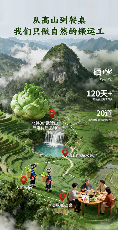 春日餐桌“鲜”锋榜：香椿、马兰头、蓬江高山鲜养榨菜让你的时令菜更出圈