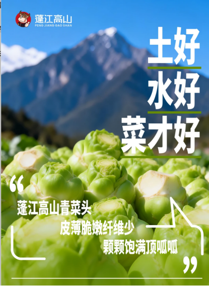 春日餐桌“鲜”锋榜：香椿、马兰头、蓬江高山鲜养榨菜让你的时令菜更出圈