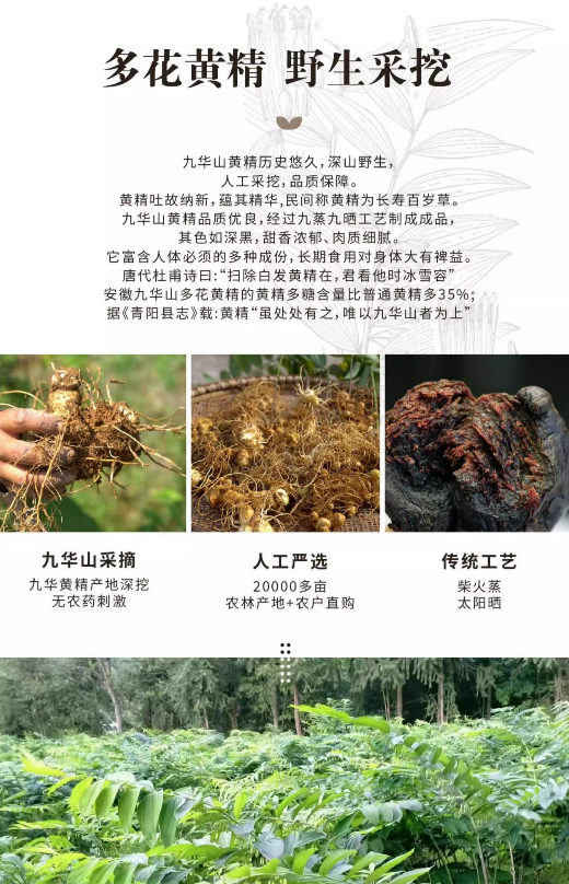 跟风吃黄精没效果?90%的人都吃错了!白花钱还伤身体! 跟风吃黄精没效果?90%的人都吃错了!白花钱还伤身体!