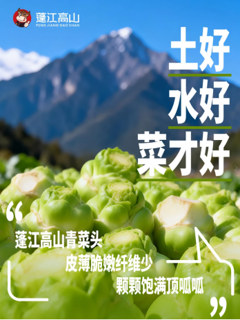 报告!我们发现了一大波蓬江高山鲜养榨菜野餐美味提案