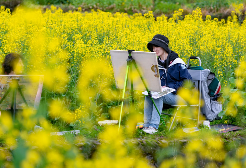 中国最美油菜花田有哪些？这条黟县古村赏花线值得专门走一趟