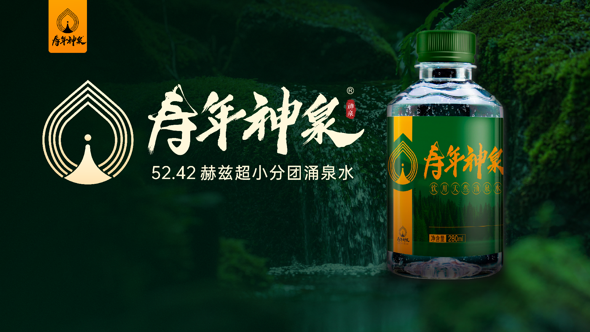 寿年神泉：两大顶尖导师联袂点赞，开启全民健康饮水新征程，打造国民健康饮水品牌！