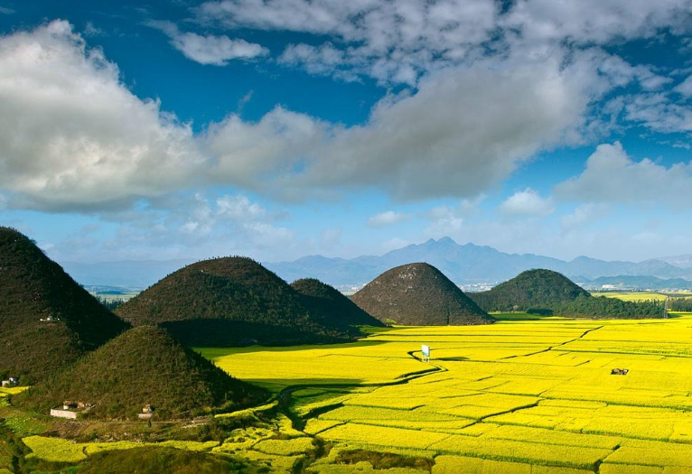2026踏青去哪里？中国最美油菜花田在哪里，这条线值得走一遍