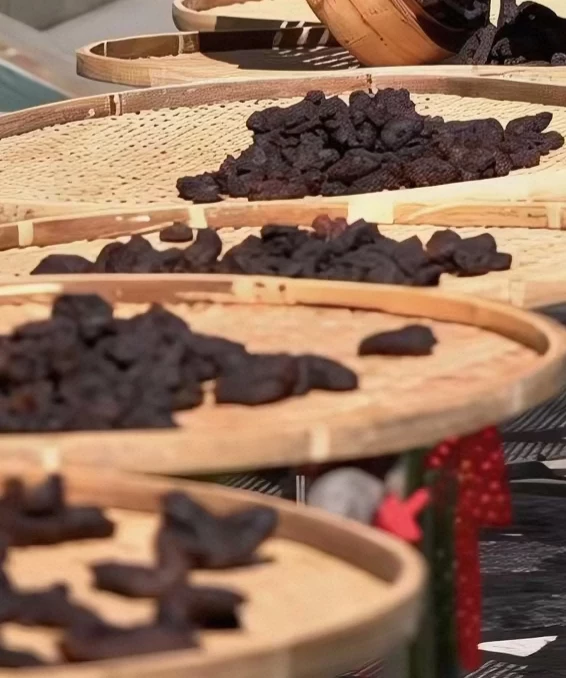 2026黄精实测报告：高性价比品牌全解析，闭眼入不踩坑