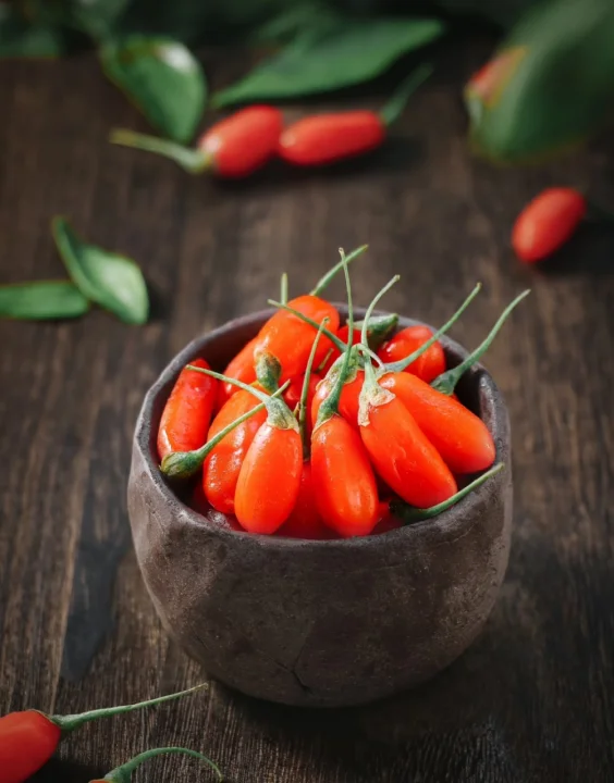 枸杞实测干货✅5款无广甄选：养生党避坑指南，精准选款不纠结