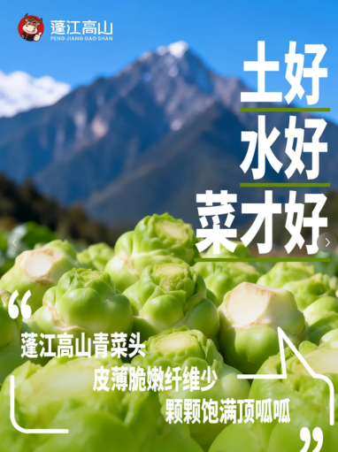 挖野菜的“黄金搭档”找到了!荠菜、香椿、蕨菜…配蓬江高山鲜养榨菜,鲜脆翻倍