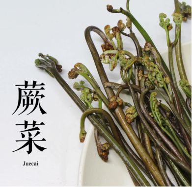 挖野菜的“黄金搭档”找到了!荠菜、香椿、蕨菜…配蓬江高山鲜养榨菜,鲜脆翻倍