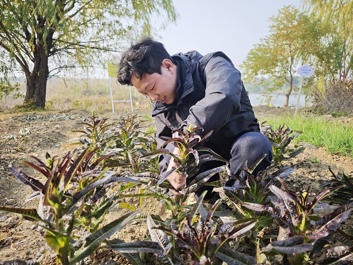 劳动赋能成长 实践淬炼本领—皖南医科大学公共卫生学院创新开展特色劳动教育