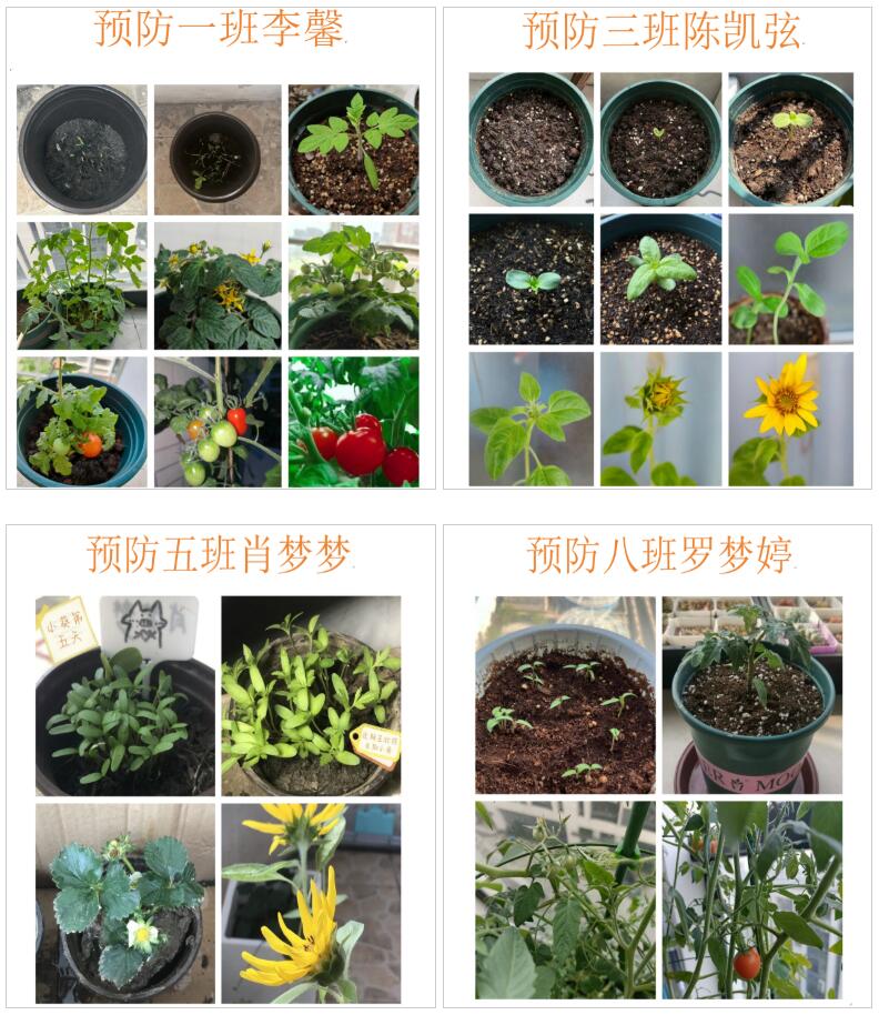 劳动赋能成长 实践淬炼本领—皖南医科大学公共卫生学院创新开展特色劳动教育