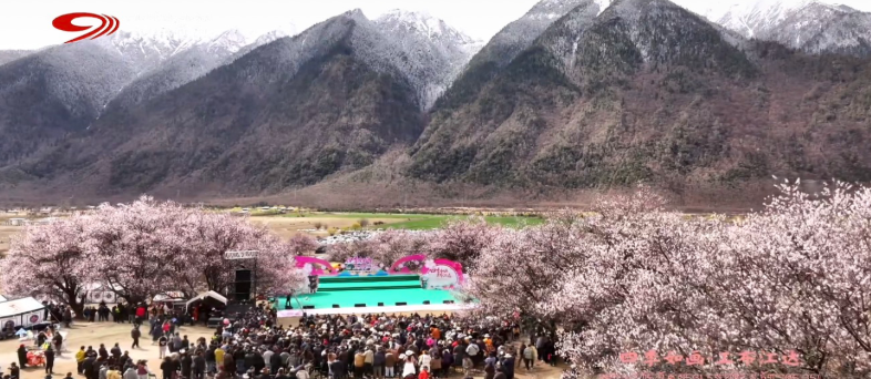 工布江达县2026年桃花旅游推介文艺演出圆满举行