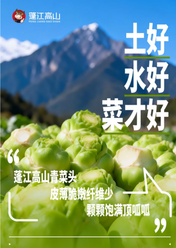 独居青年的顶级“饭商”：把蓬江高山榨菜，吃成仪式感标配