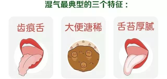 湿气一除，肚子自消！伏湿膏十大品牌红榜测评：正宗伏湿膏怎么选？看完这篇告别“湿胖”